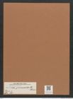Navicula pennata A.Schm. (de-Toni-Nr.: Genus 1, Species 393) Zeichnungen Sammlung Grunow Mappe 00358 (Herbarium_W_Grunow_drawings_Folder_00358)